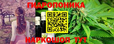 скорость Новозыбков