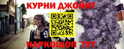 скорость Новозыбков