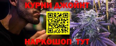 скорость Новозыбков