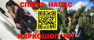 скорость Новозыбков