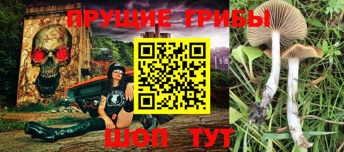 Галлюциногенные грибы GOLDEN TEACHER  Вход с VPN  Галлюциногенные грибы прущие грибы  Югорск 